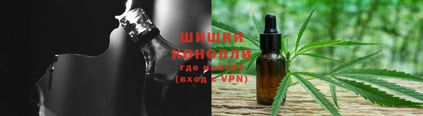 apvp Богданович